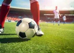 大乐透期号,专家质合分,析推荐前区,球探比分,球探体育即时比分比分,球探,球探体育比分网